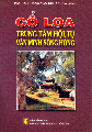 Cổ Loa – trung tâm hội tụ văn minh sông Hồng.